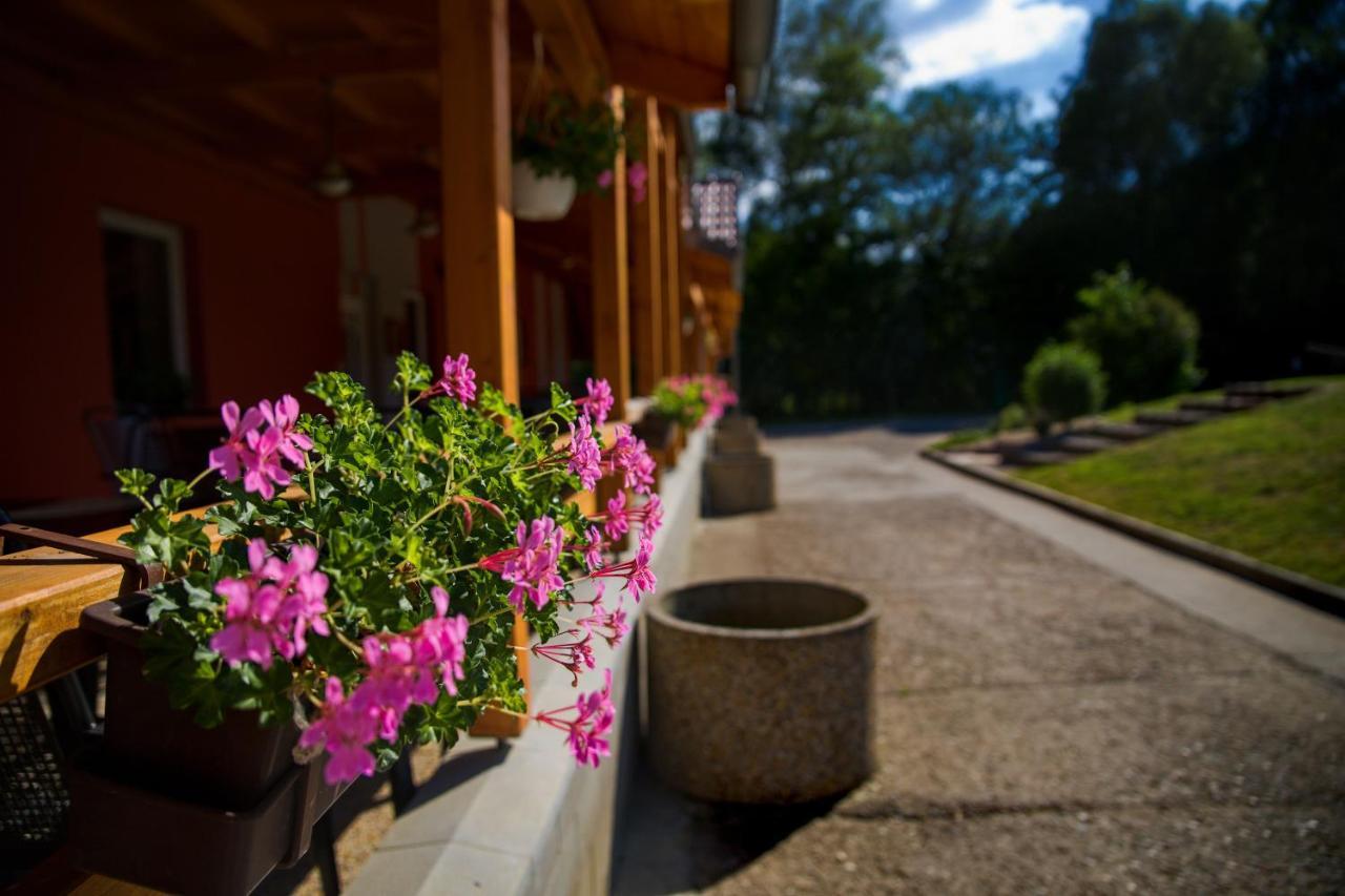 Penzion Amfik Bukovina Popovice  Экстерьер фото
